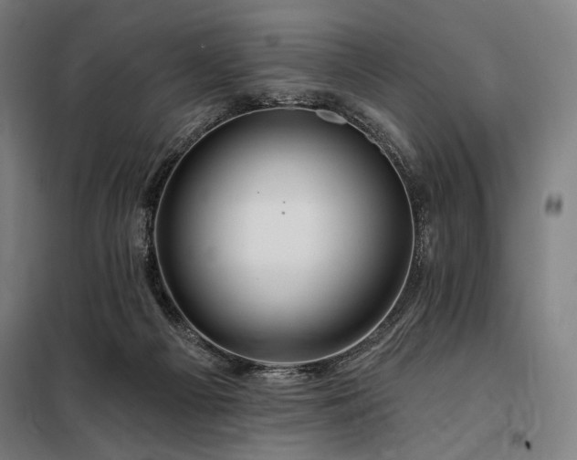 X0000097990121200804021017