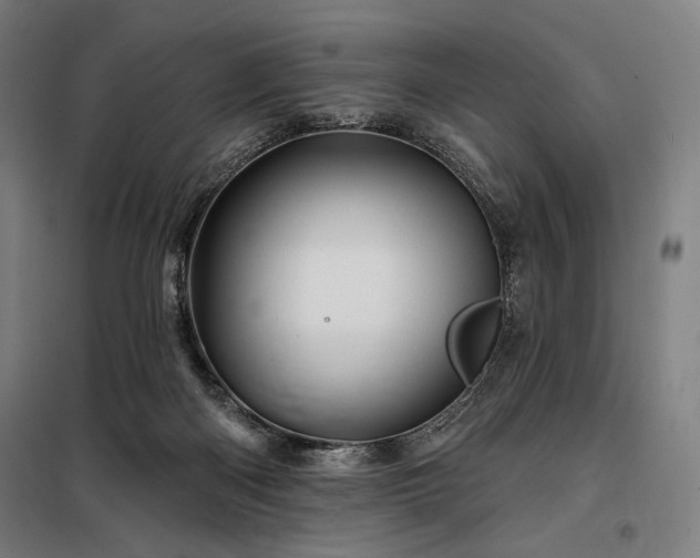 X0000097990122200804021017