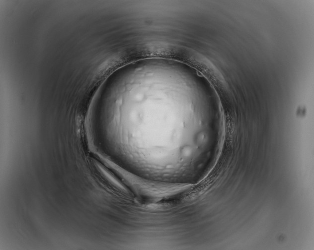 X0000097990123200804021017