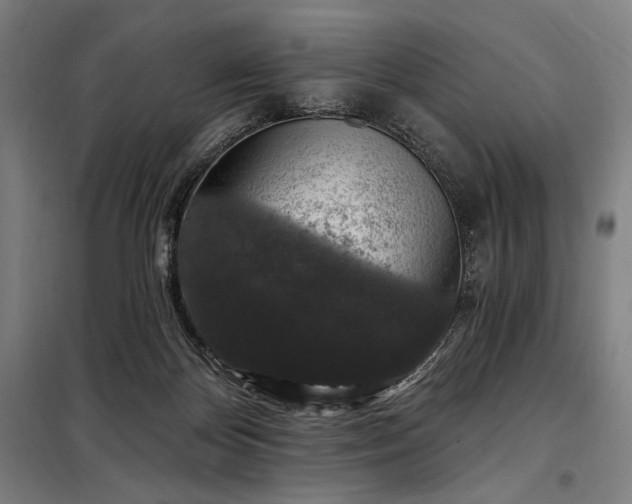 X0000097990124200804021017