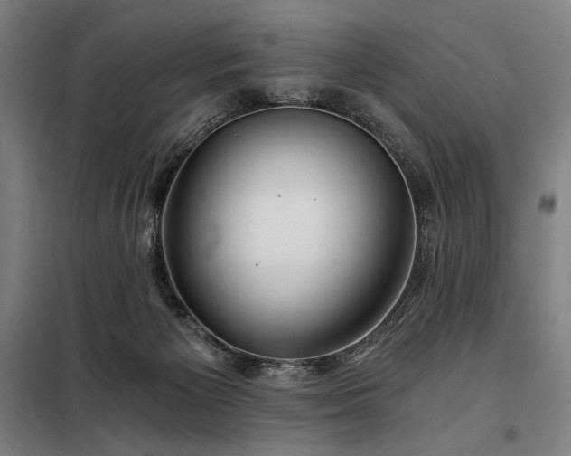X0000097990125200804021017