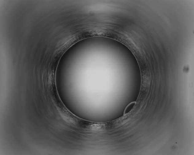 X0000097990126200804021017