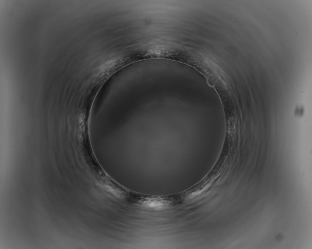 X0000097990127200804021017