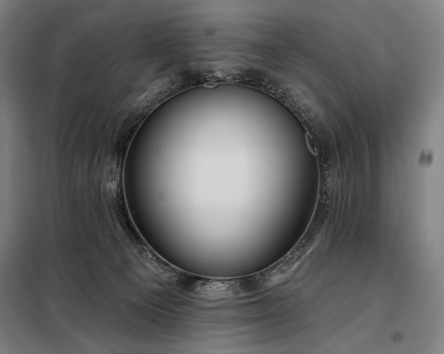 X0000097990129200804021017