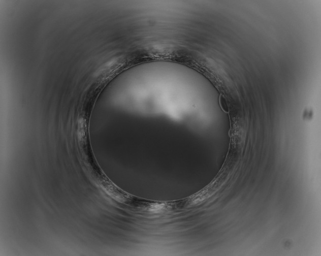 X0000097990130200804021017