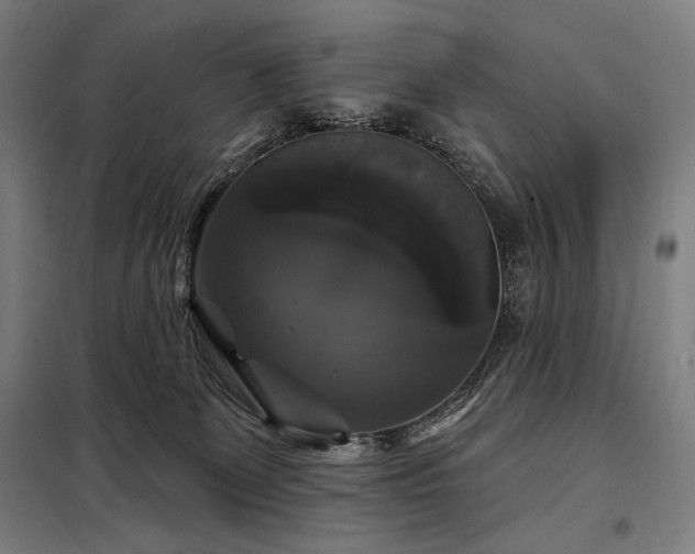 X0000097990131200804021017