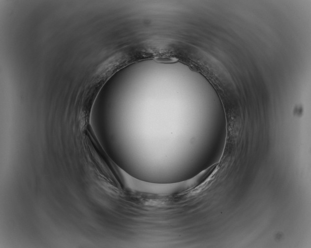 X0000097990132200804021017