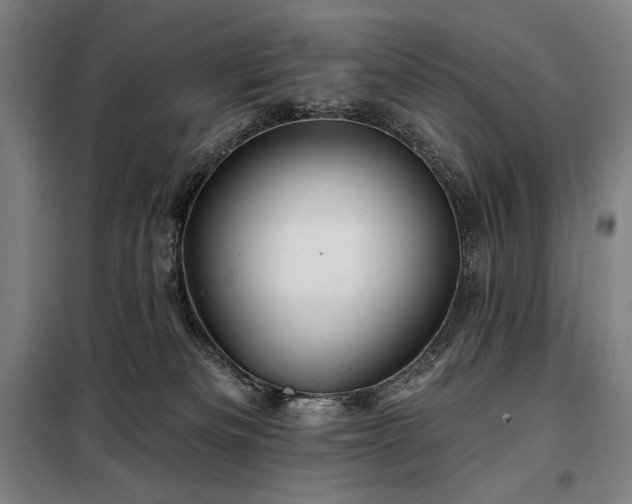 X0000097990133200804021017