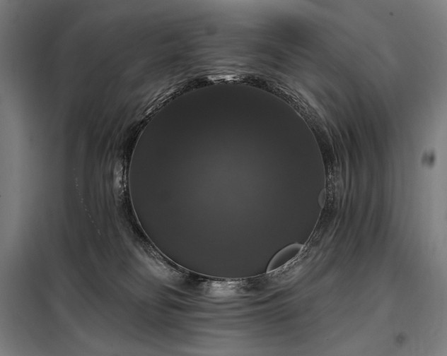 X0000097990134200804021017