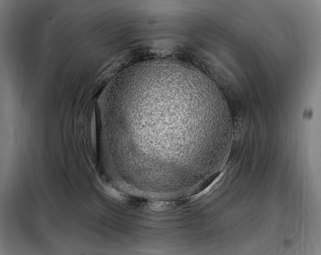 X0000097990136200804021017