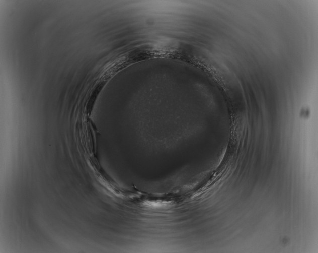X0000097990137200804021017