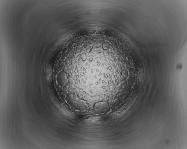 X0000097990138200804021017