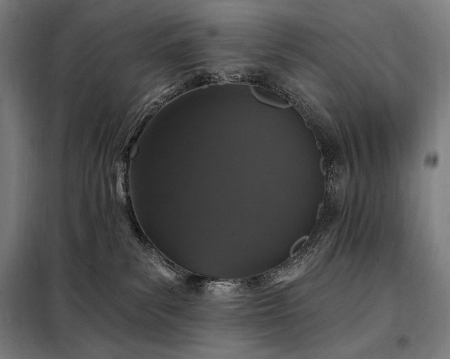 X0000097990139200804021017