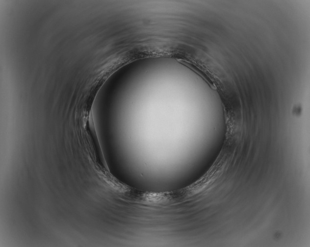X0000097990141200804021017
