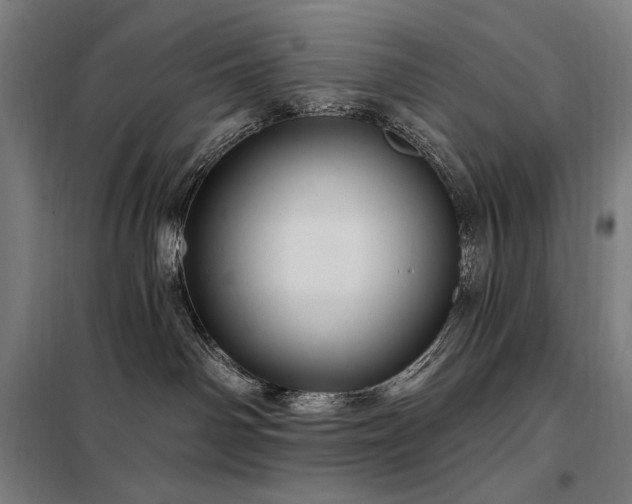 X0000097990142200804021017