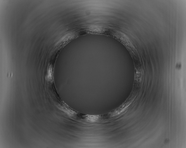 X0000097990143200804021017