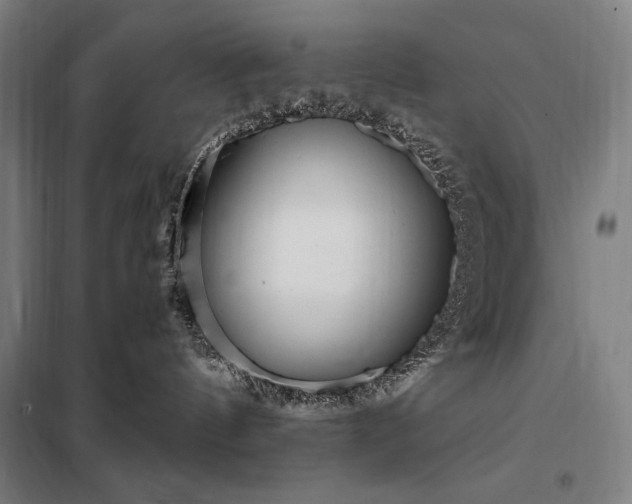 X0000097990144200804021017