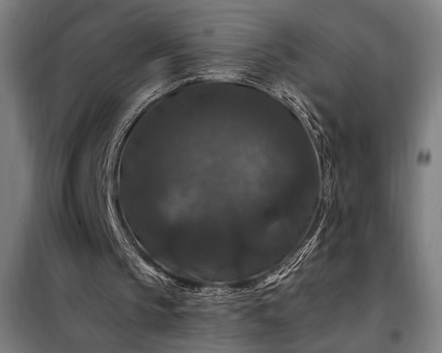 X0000097990145200804021016