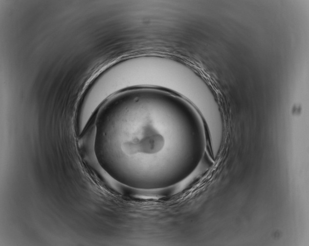 X0000097990146200804021016
