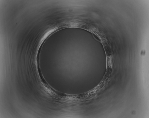 X0000097990147200804021016