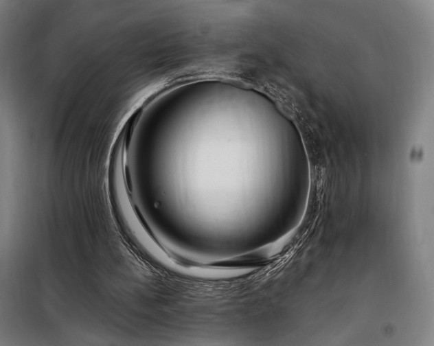 X0000097990148200804021016