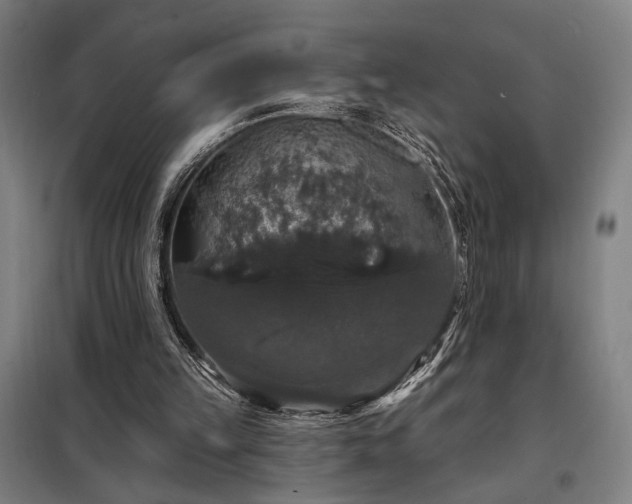 X0000097990149200804021016