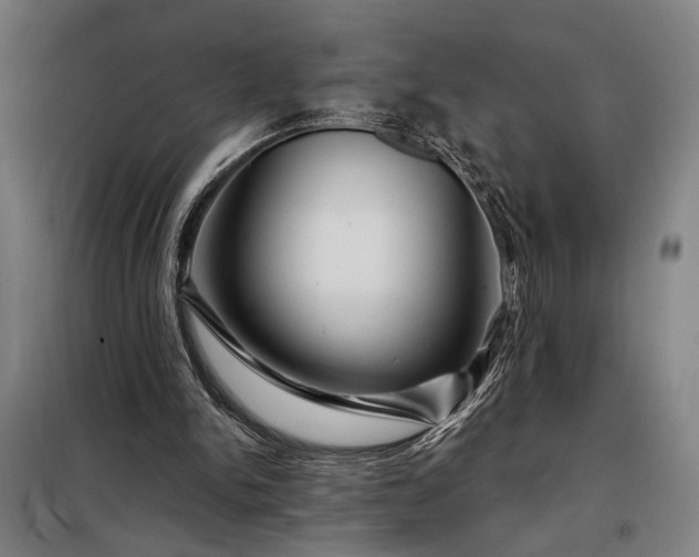 X0000097990150200804021016