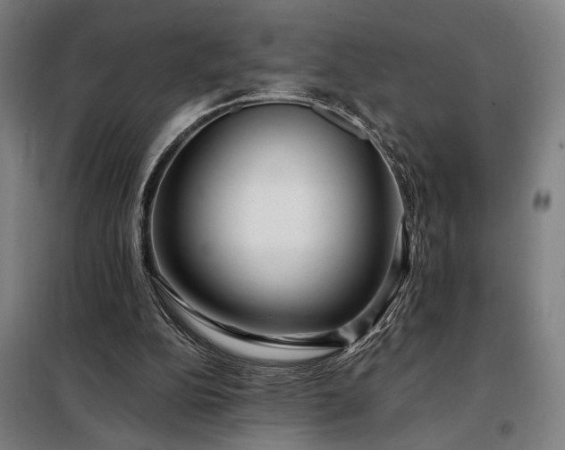X0000097990152200804021016