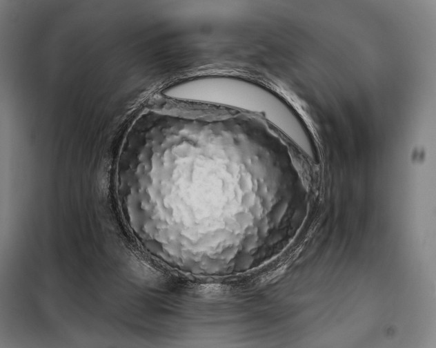 X0000097990153200804021016