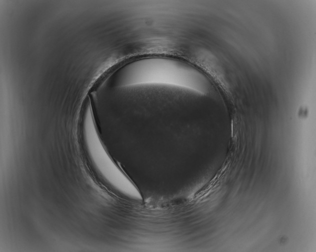 X0000097990156200804021016
