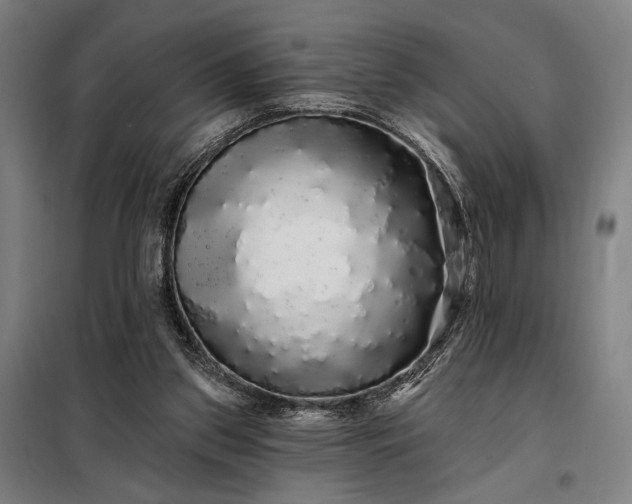 X0000097990157200804021016
