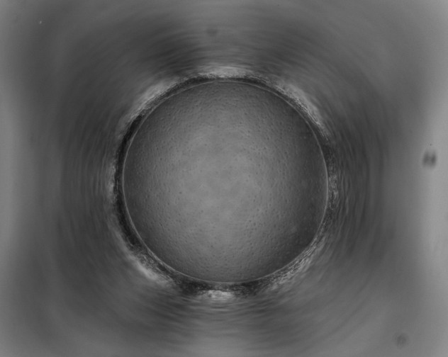 X0000097990159200804021016