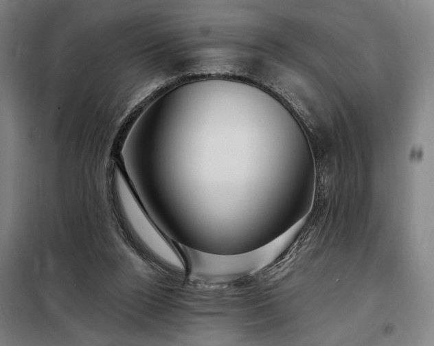 X0000097990160200804021016
