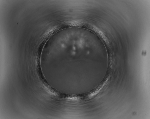 X0000097990161200804021016