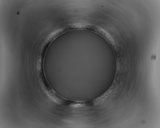 X0000097990163200804021016