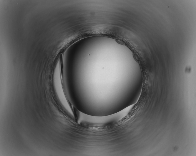 X0000097990164200804021016