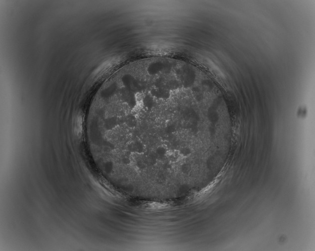 X0000097990166200804021016