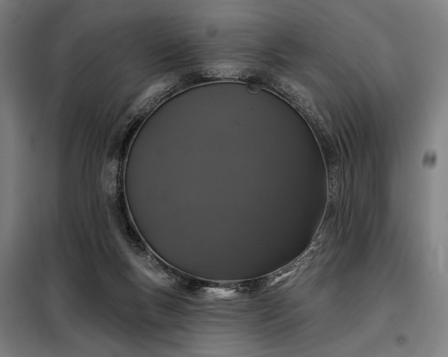 X0000097990167200804021016