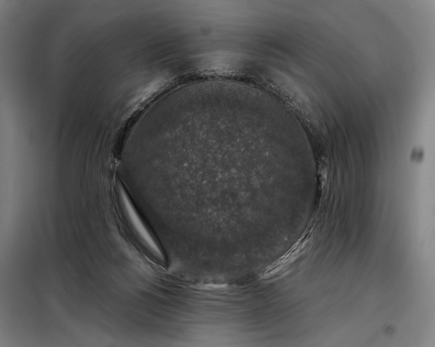 X0000097990168200804021016