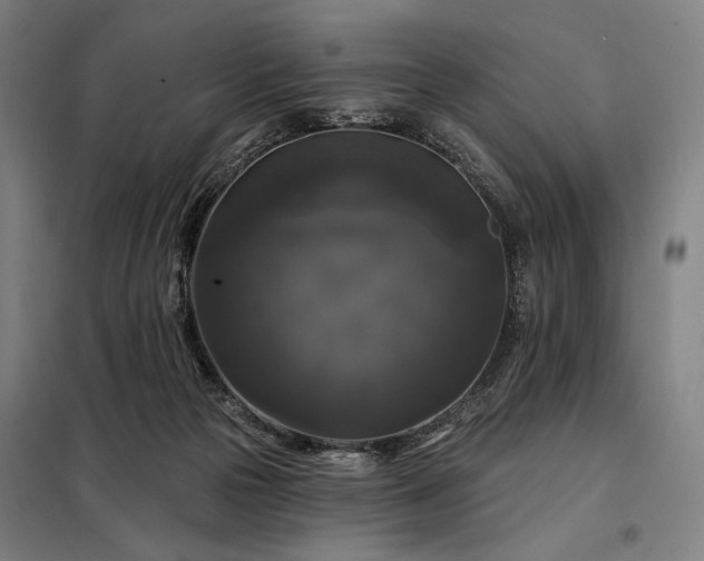 X0000097990169200804021016