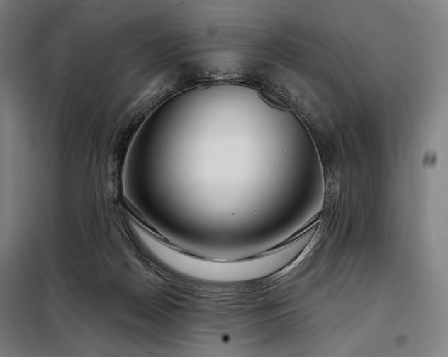 X0000097990170200804021016