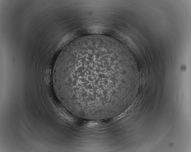 X0000097990171200804021016