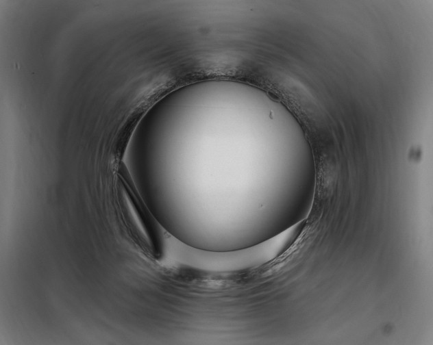 X0000097990172200804021016