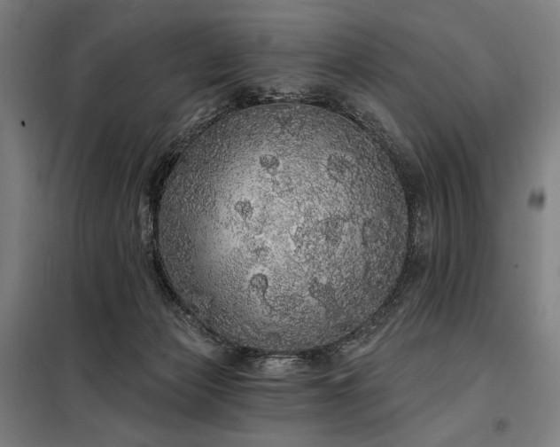 X0000097990173200804021016