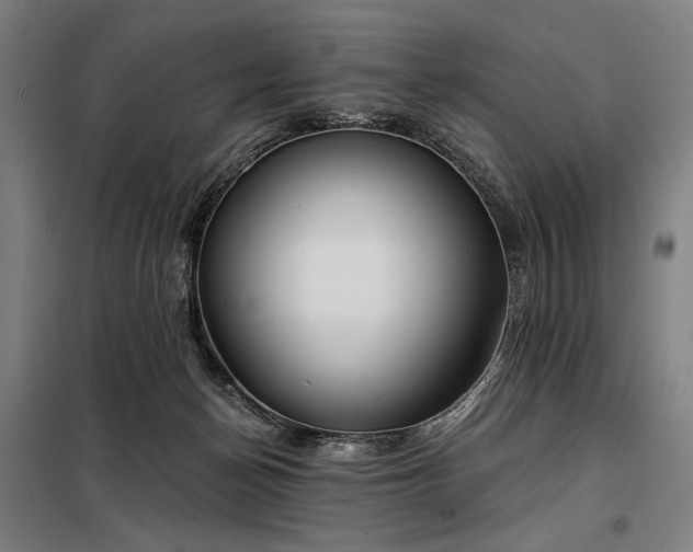 X0000097990174200804021016