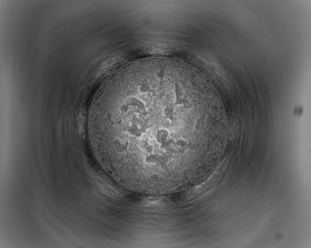 X0000097990175200804021016