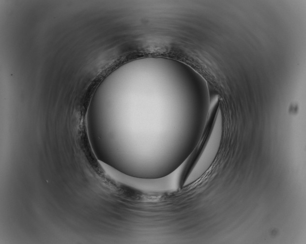 X0000097990176200804021016