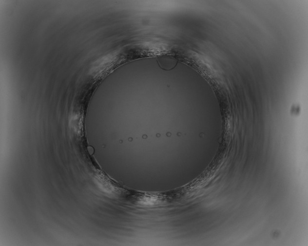 X0000097990177200804021016
