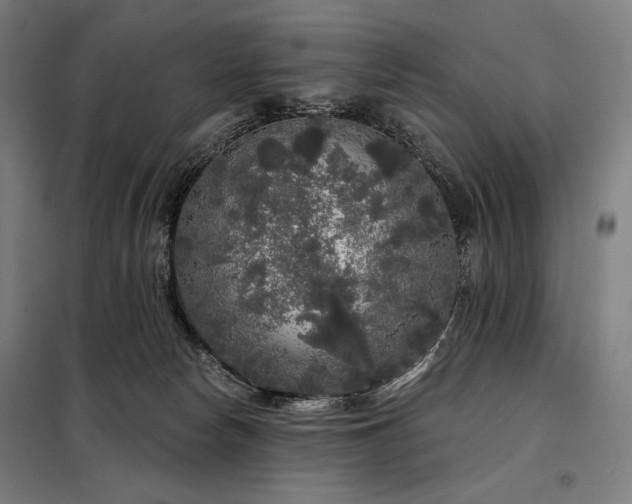 X0000097990178200804021016