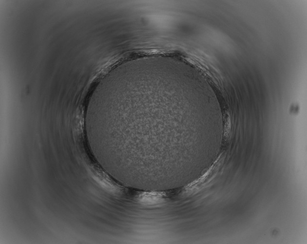 X0000097990179200804021016
